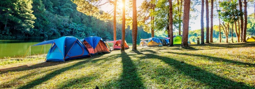 tents camping under pine trees shade